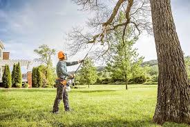 Best Hedge Trimming  in Coldstream, OH